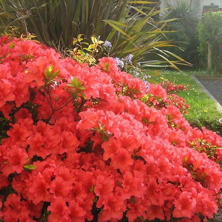 Liosderrig House B&B 글렌비 외부 사진